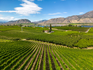 Okanagan Valley British Columbia Winery Vineyard Landscape