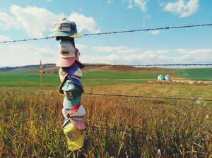Agriculture farmland in Canadian prairie Alberta Canada.