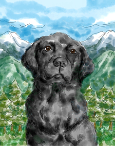 Black Labrador Retriever dog portrait with nature landscape
