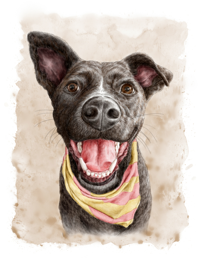 Cute happy smiling dog portrait by Kevin Miller Photography Wall Art