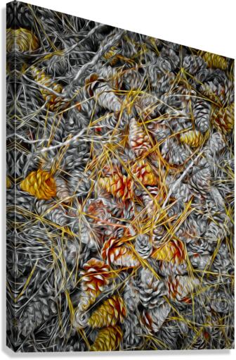 Pine Cones Forest Abstract Canvas Print