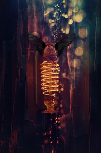 The Spangle Maker