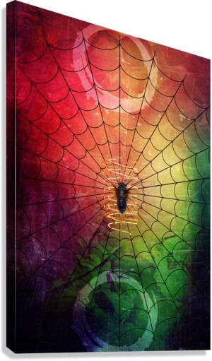 Edison Web  Canvas Print