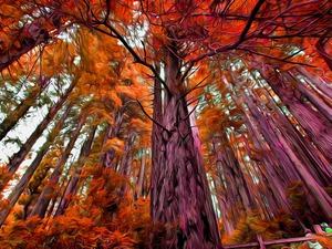 Magnificent Trees Amber Acrylic