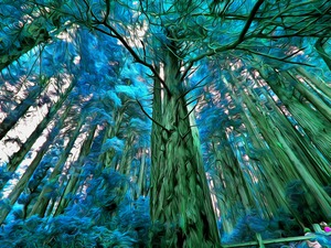 Magnificent Trees Blue Acrylic
