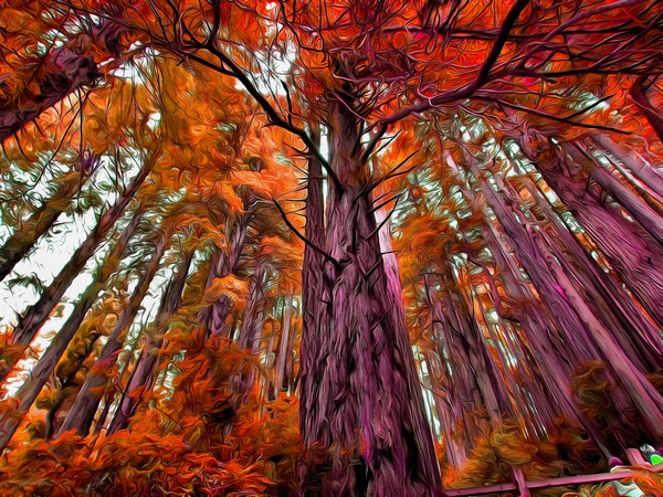 Magnificent Trees Amber Acrylic by J R Picard