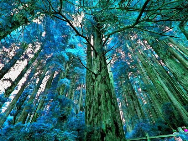Magnificent Trees Blue Acrylic by J R Picard