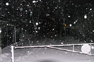 IMGP2137 by Vetrof Alik