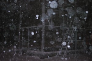 IMGP2217 by Vetrof Alik