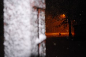 IMGP2225 by Vetrof Alik