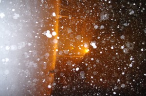 IMGP2246 by Vetrof Alik