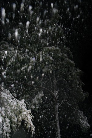 IMGP2280 by Vetrof Alik