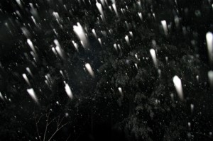 IMGP2282 by Vetrof Alik