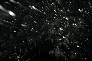 IMGP2283 by Vetrof Alik