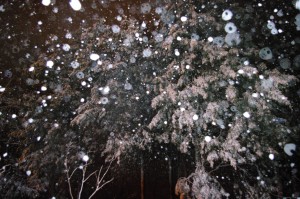 IMGP2284 by Vetrof Alik