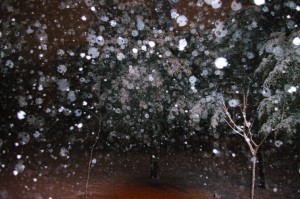 IMGP2288 by Vetrof Alik