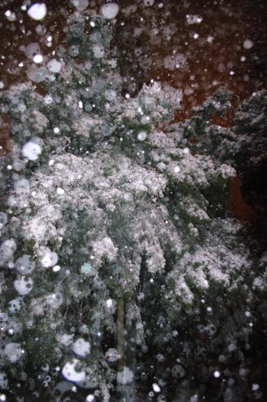 IMGP2293 by Vetrof Alik