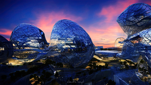 Vega Evenings   0014