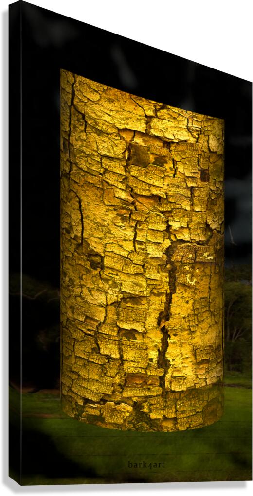 jasmund I Canvas Print