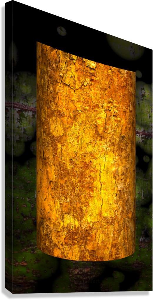 daintree I Canvas Print
