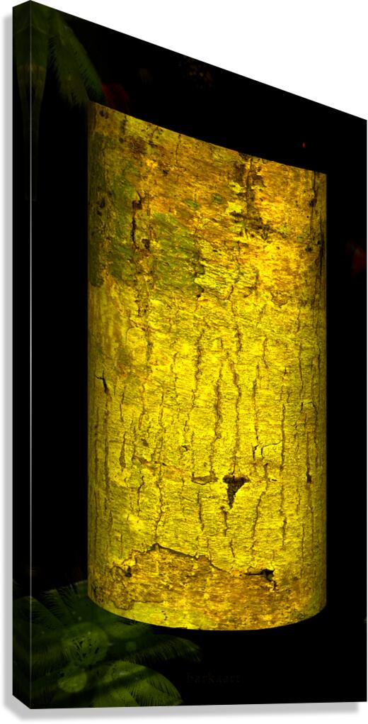 kakazo I Canvas Print