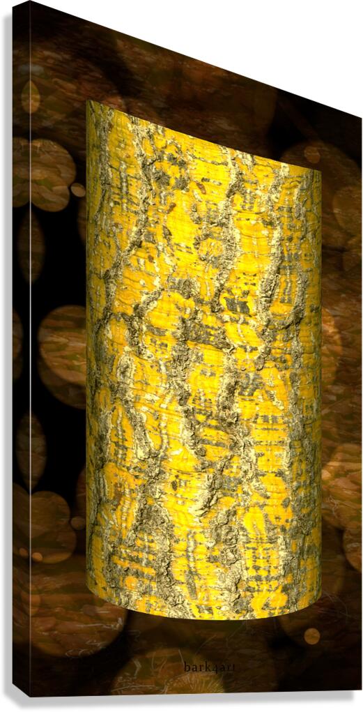 bijarim V Canvas Print