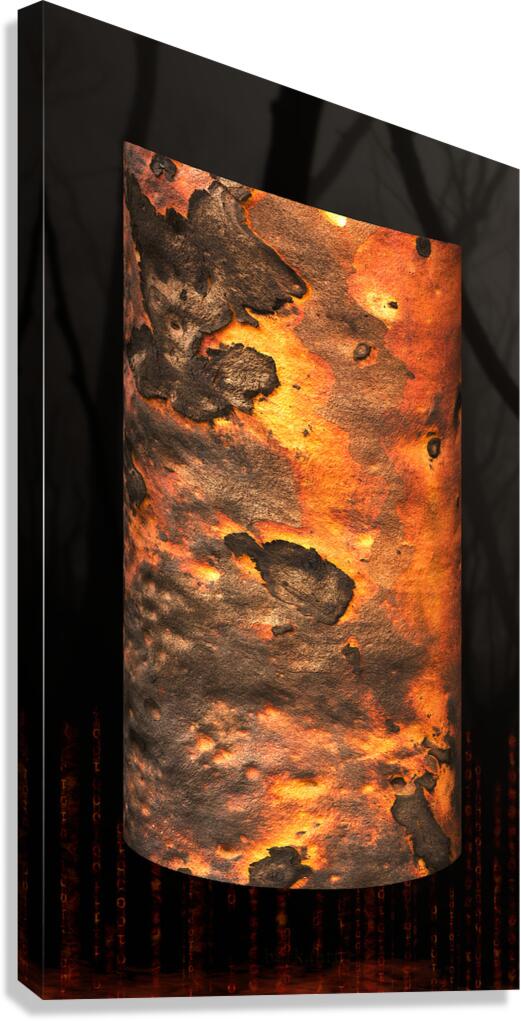 dharawal II Canvas Print