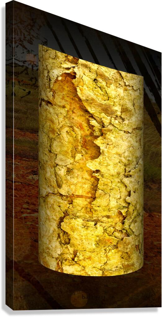 friluftsliv IV Canvas Print