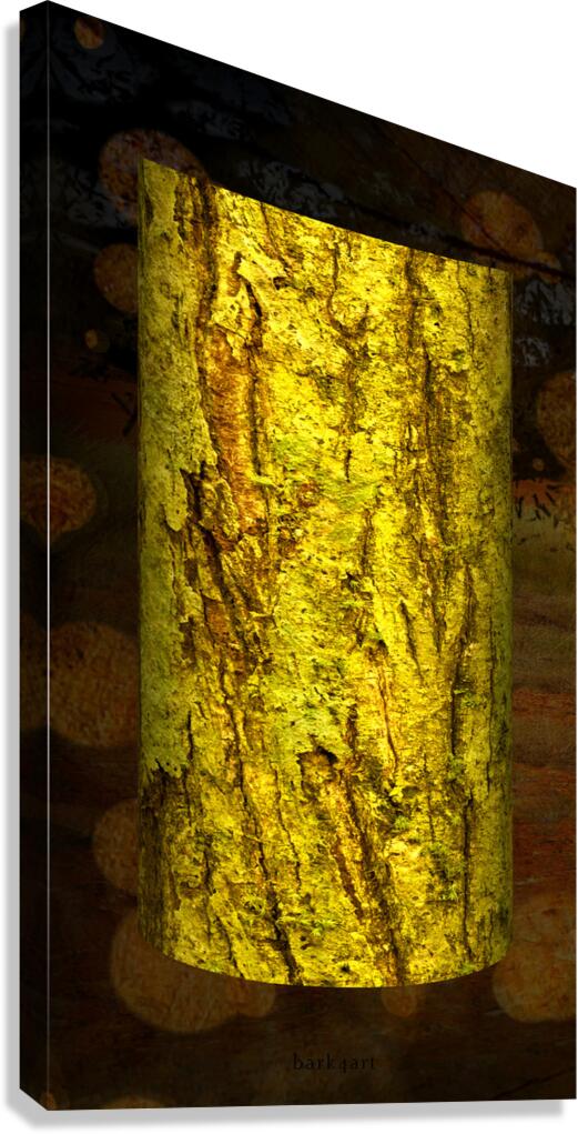 friluftsliv I Canvas Print