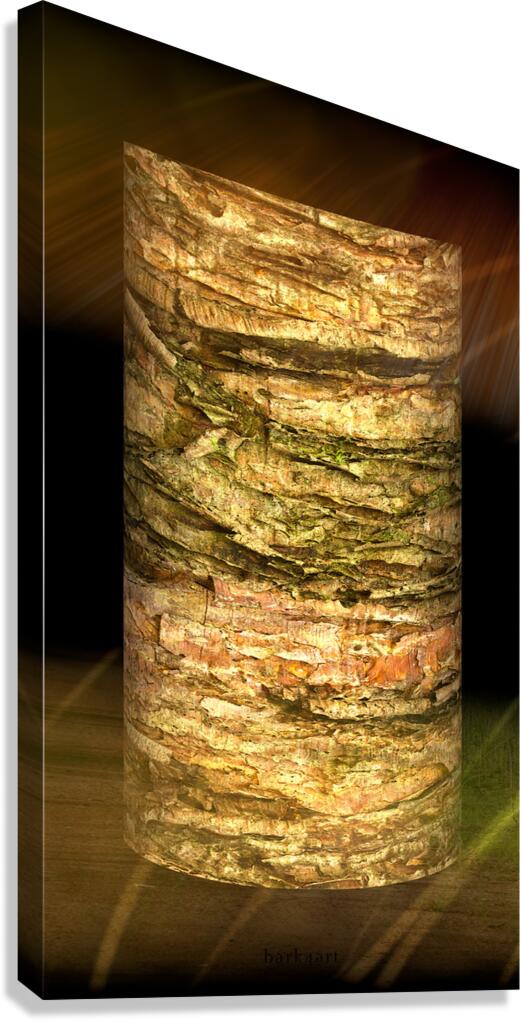 kanha IV Canvas Print