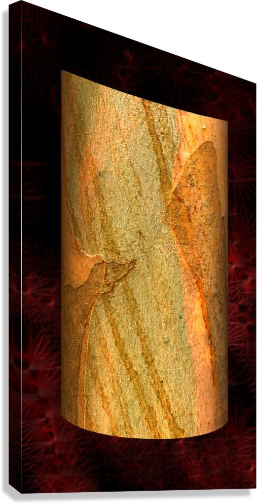 luntai V Canvas Print