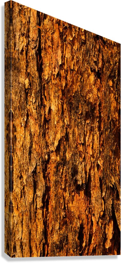 flatBark7 Canvas Print