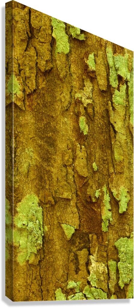flatBark3 Canvas Print