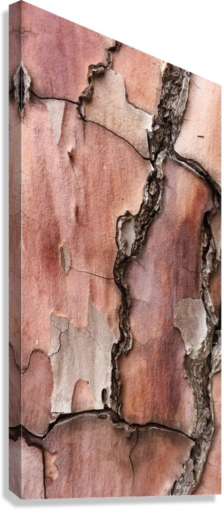 flatBark4 Canvas Print