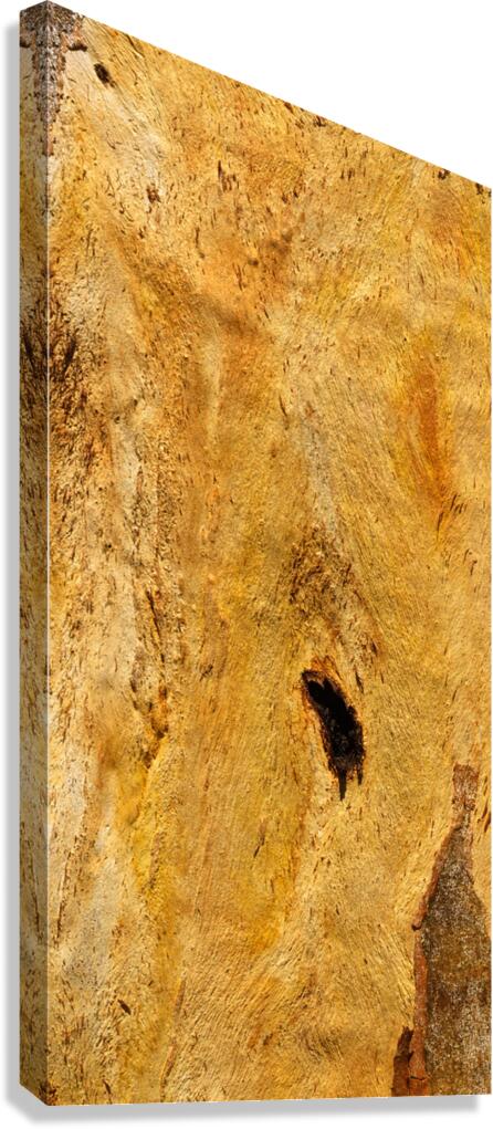 flatBark1 Canvas Print