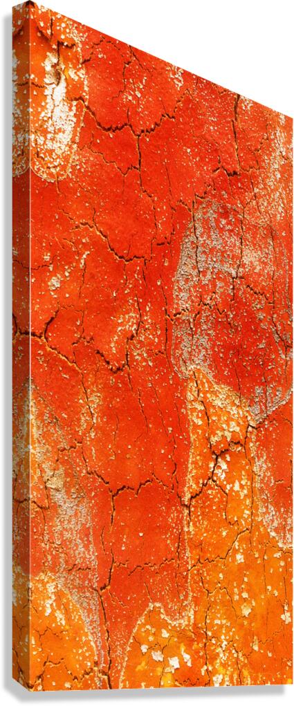 flatBark14 Canvas Print