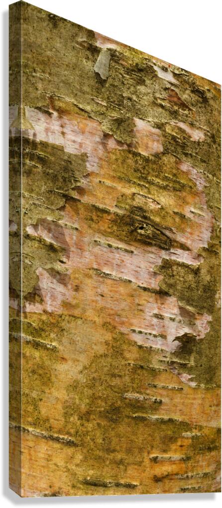flatBark11 Canvas Print