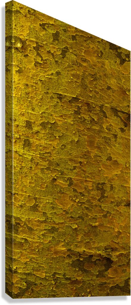 flatBark8 Canvas Print