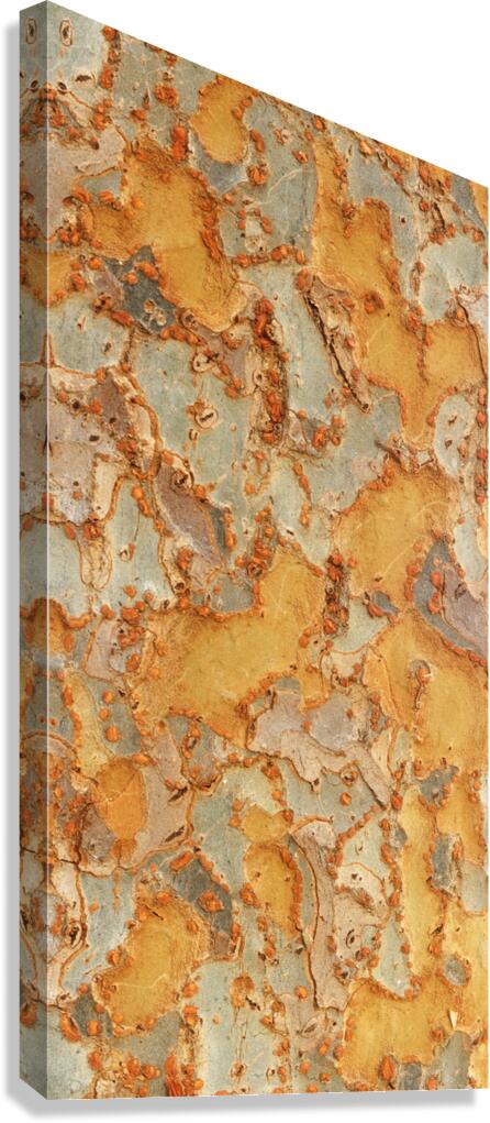 flatBark10 Canvas Print