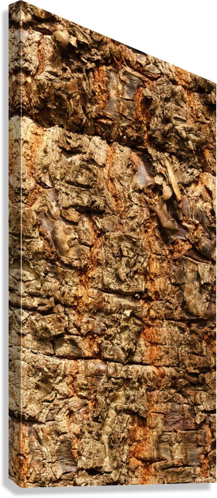 flatBark21 Canvas Print