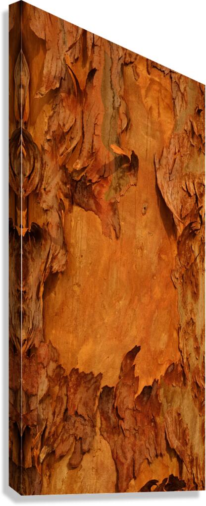 flatBark17 Canvas Print