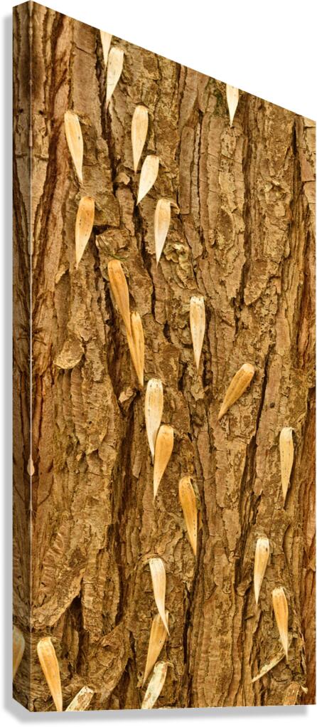 flatBark24 Canvas Print