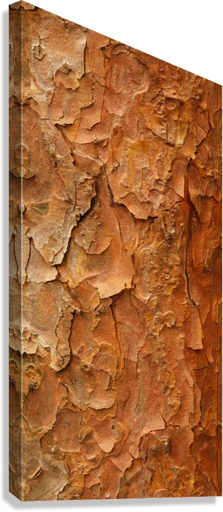 flatBark23 Canvas Print