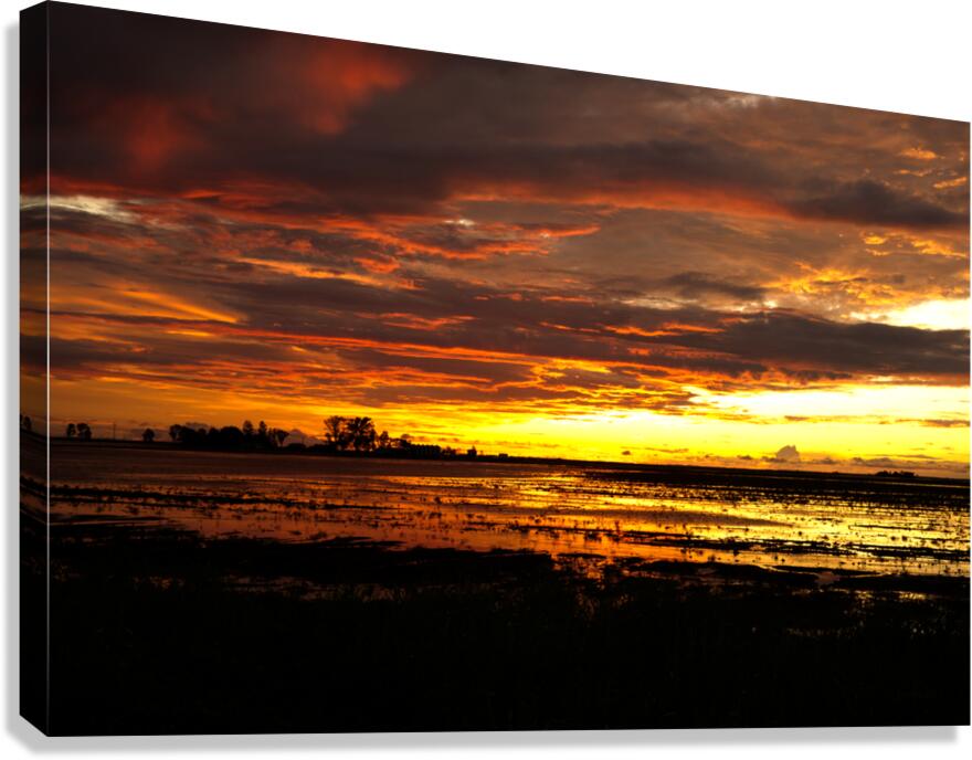 granite Canvas Print