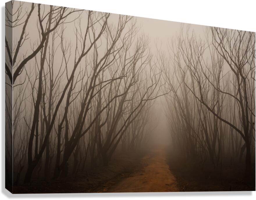 fire Canvas Print