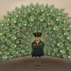 Peacock