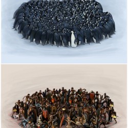 Penguins and humans