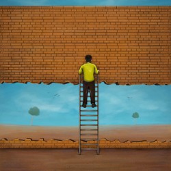 The wall flies