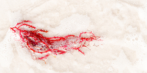 Naples Sand and Surf 24