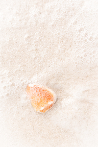 Naples Sand and Surf 9